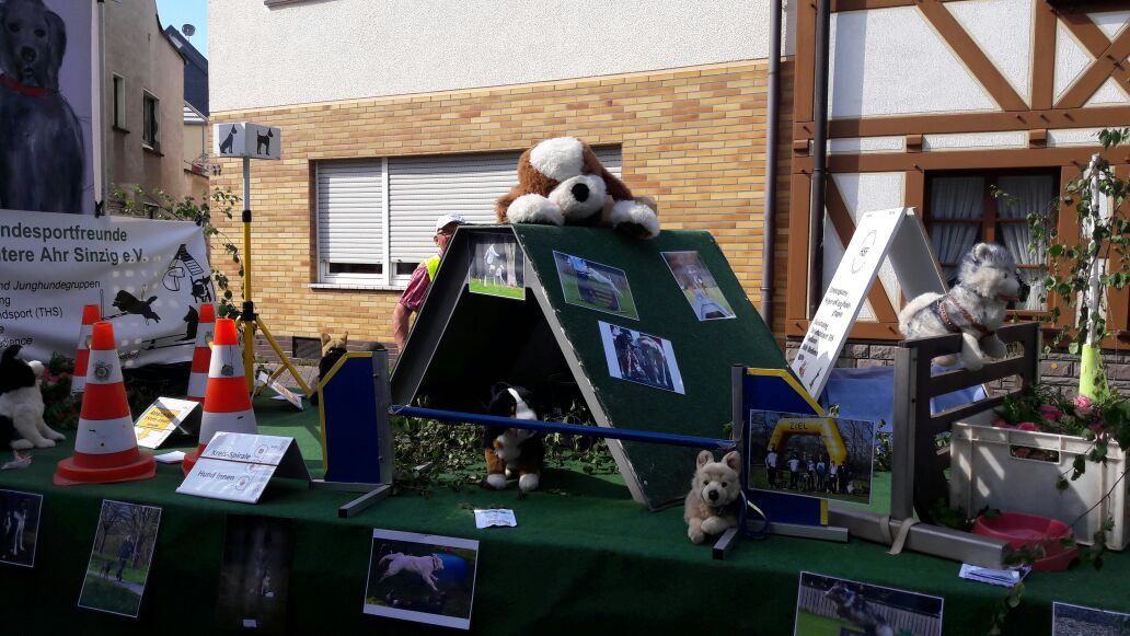 WhatsApp Image 2017-06-10 at 19.21.03.jpeg