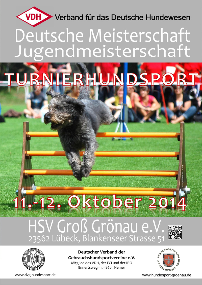 plakat_vdh_dm_ths_2014_vers_16-02-2014.jpg