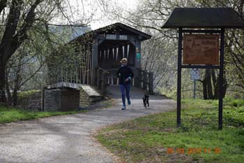 Rhein-Ahr-Lauf 2017 007