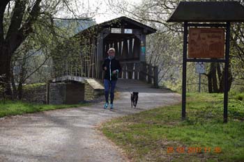 Rhein-Ahr-Lauf 2017 008