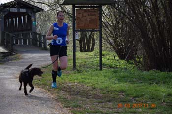 Rhein-Ahr-Lauf 2017 015