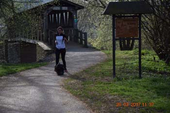 Rhein-Ahr-Lauf 2017 016