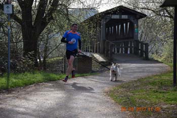 Rhein-Ahr-Lauf 2017 026