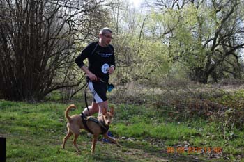 Rhein-Ahr-Lauf 2017 043
