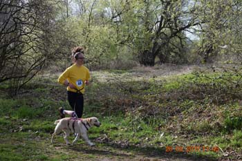Rhein-Ahr-Lauf 2017 046