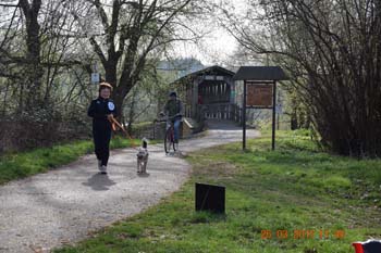 Rhein-Ahr-Lauf 2017 047