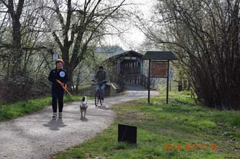 Rhein-Ahr-Lauf 2017 048