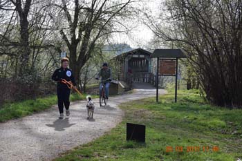 Rhein-Ahr-Lauf 2017 049