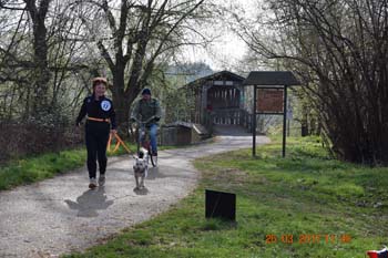 Rhein-Ahr-Lauf 2017 052