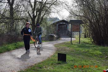 Rhein-Ahr-Lauf 2017 053