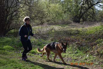 Rhein-Ahr-Lauf 2017 058