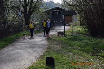 Rhein-Ahr-Lauf 2017 059