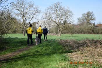 Rhein-Ahr-Lauf 2017 064
