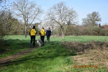 Rhein-Ahr-Lauf 2017 065
