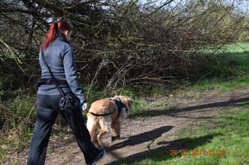 Rhein-Ahr-Lauf 2017 067