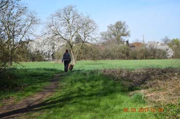 Rhein-Ahr-Lauf 2017 069