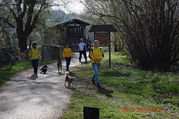 Rhein-Ahr-Lauf 2017 073