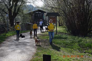 Rhein-Ahr-Lauf 2017 074