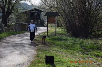 Rhein-Ahr-Lauf 2017 077