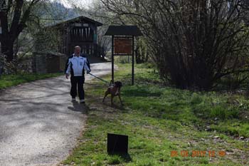 Rhein-Ahr-Lauf 2017 079