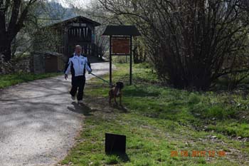 Rhein-Ahr-Lauf 2017 080