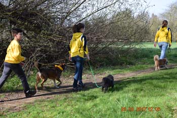 Rhein-Ahr-Lauf 2017 081