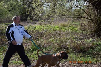Rhein-Ahr-Lauf 2017 083