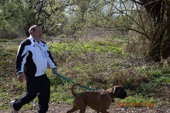 Rhein-Ahr-Lauf 2017 084