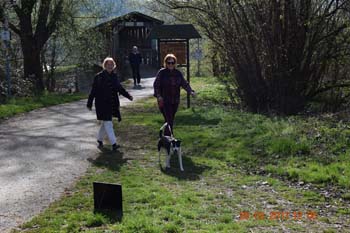 Rhein-Ahr-Lauf 2017 087