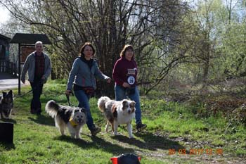Rhein-Ahr-Lauf 2017 094