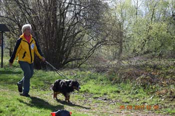 Rhein-Ahr-Lauf 2017 100