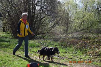 Rhein-Ahr-Lauf 2017 102