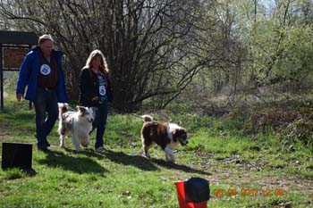 Rhein-Ahr-Lauf 2017 106