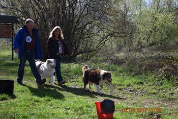 Rhein-Ahr-Lauf 2017 107