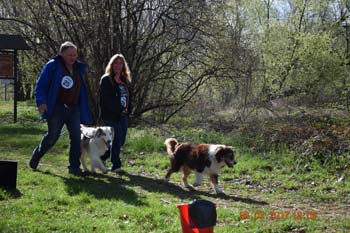 Rhein-Ahr-Lauf 2017 108