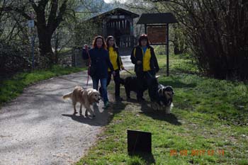 Rhein-Ahr-Lauf 2017 112