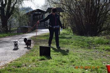 Rhein-Ahr-Lauf 2017 115