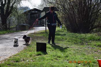 Rhein-Ahr-Lauf 2017 116