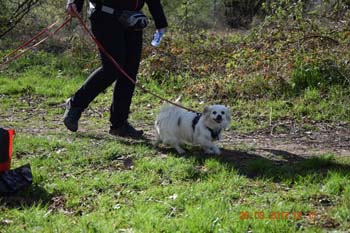 Rhein-Ahr-Lauf 2017 121