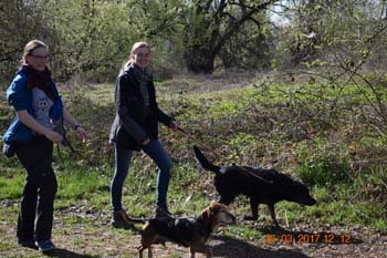 Rhein-Ahr-Lauf 2017 130