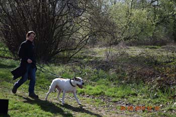 Rhein-Ahr-Lauf 2017 131