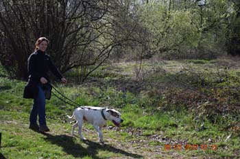 Rhein-Ahr-Lauf 2017 132