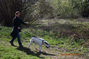 Rhein-Ahr-Lauf 2017 133
