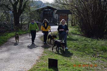 Rhein-Ahr-Lauf 2017 137