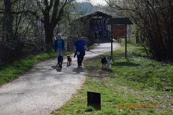 Rhein-Ahr-Lauf 2017 142