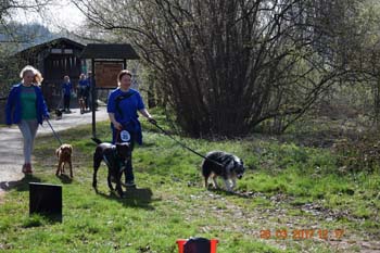 Rhein-Ahr-Lauf 2017 145