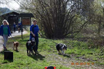 Rhein-Ahr-Lauf 2017 146