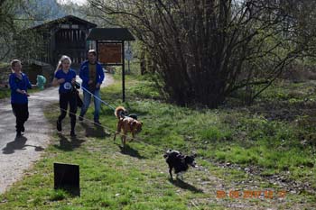 Rhein-Ahr-Lauf 2017 147