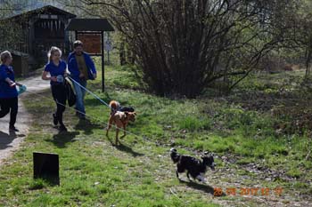 Rhein-Ahr-Lauf 2017 149