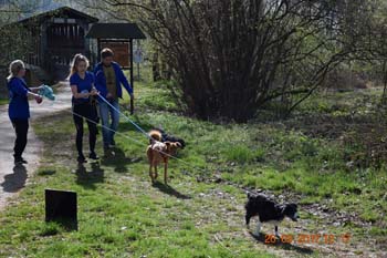 Rhein-Ahr-Lauf 2017 150